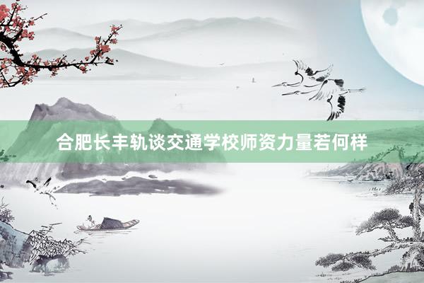 合肥长丰轨谈交通学校师资力量若何样